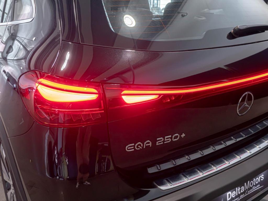 EQA 250+ Progressive - Certified