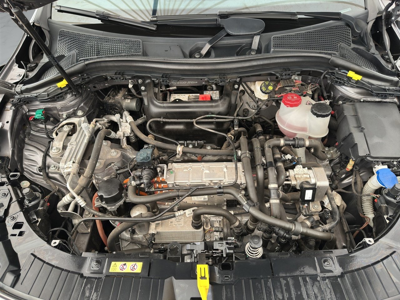 EQA 250+ Premium Plus - Certified